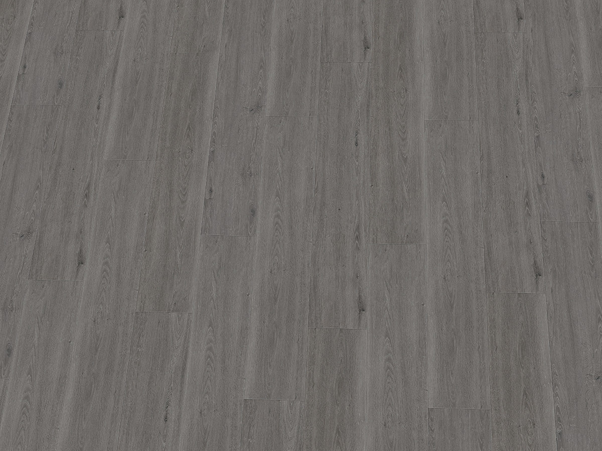 Vinylboden IPC Rubin XL Eiche asphaltgrau, Klebevinyl, Nahaufnahme der Holzstruktur und Oberflächenbeschaffenheit