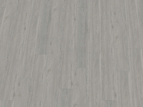 Vinylboden IPC Rubin XL Eiche seidengrau, Klebevinyl, detailreiche Holzoptik mit seidengrauen Eichenmustern.