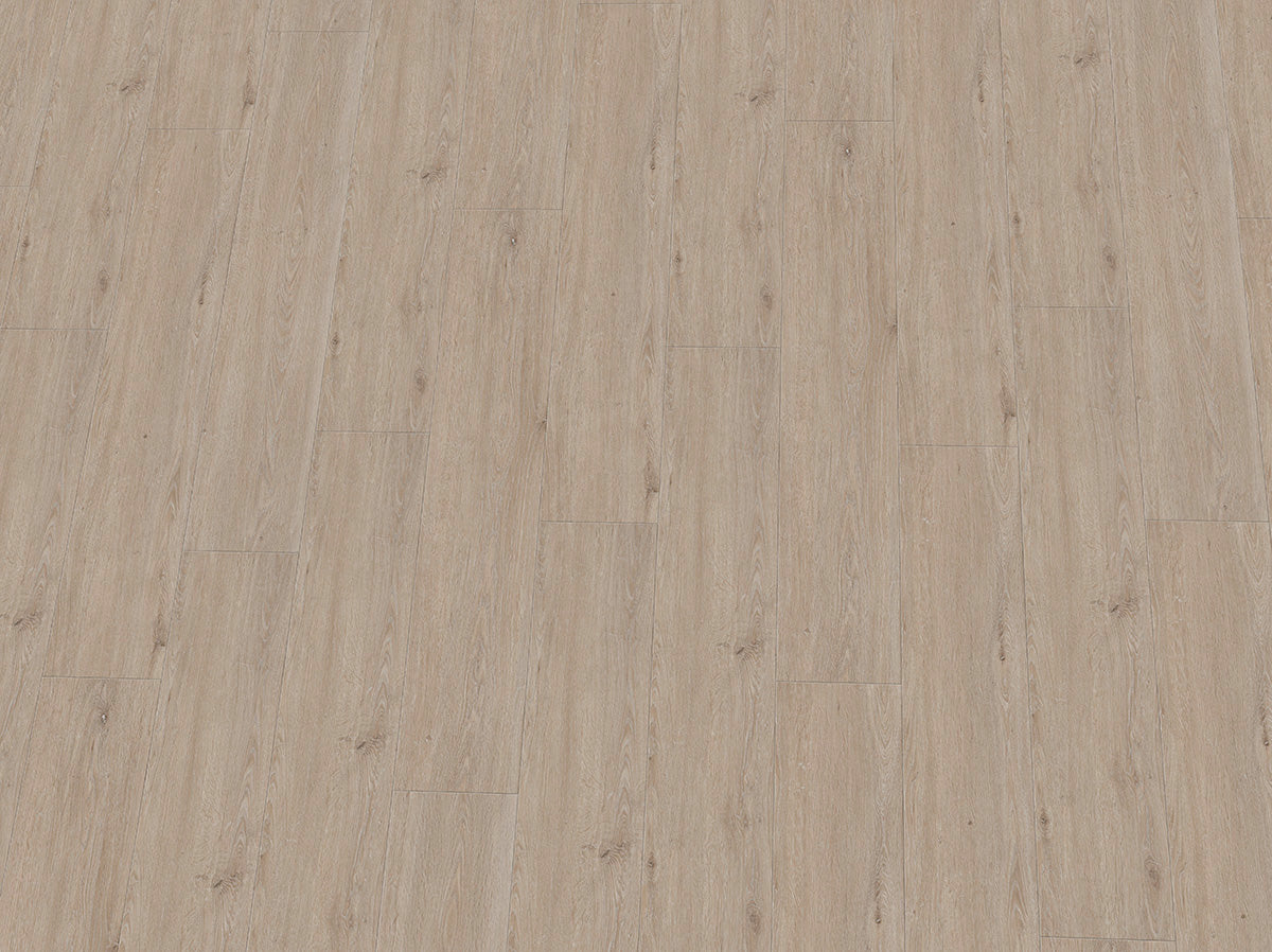 Heller Vinylboden IPC Rubin XL Eiche steinweiß, Klebevinyl, mit Holz- und Steinoptik, auf dem Boden liegend, Nahaufnahme