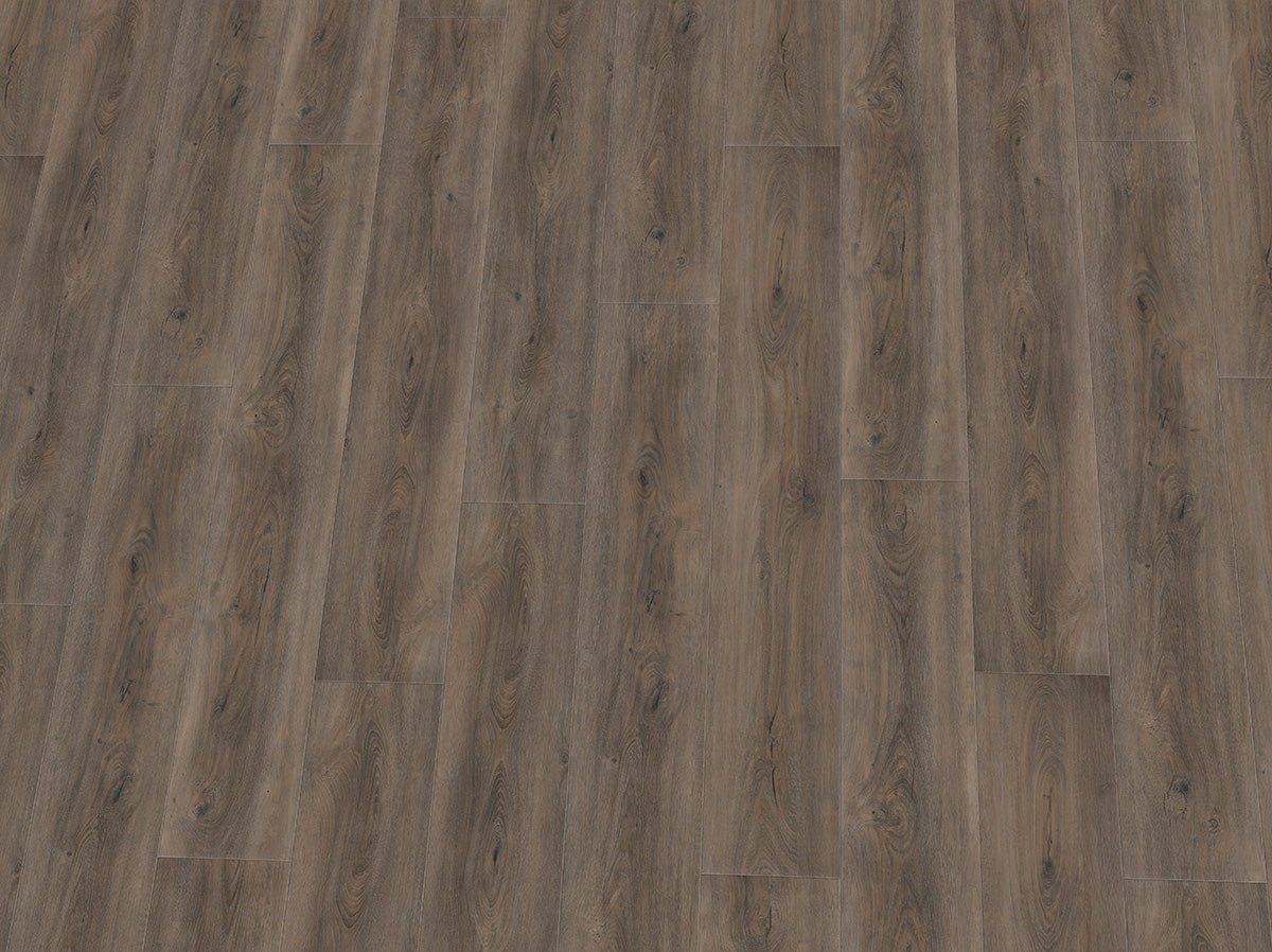 Vinylboden IPC Topas XXL Eiche graubeige mit Holzmaserung, Klebevinyl, Nahaufnahme der Textur und Farbgebung