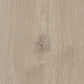 Vinylboden IPC PWK 0,55 Linz mit Klick-Vinyl, rechteckige Planke in Holzoptik, detailreiche Struktur, für moderne Räume