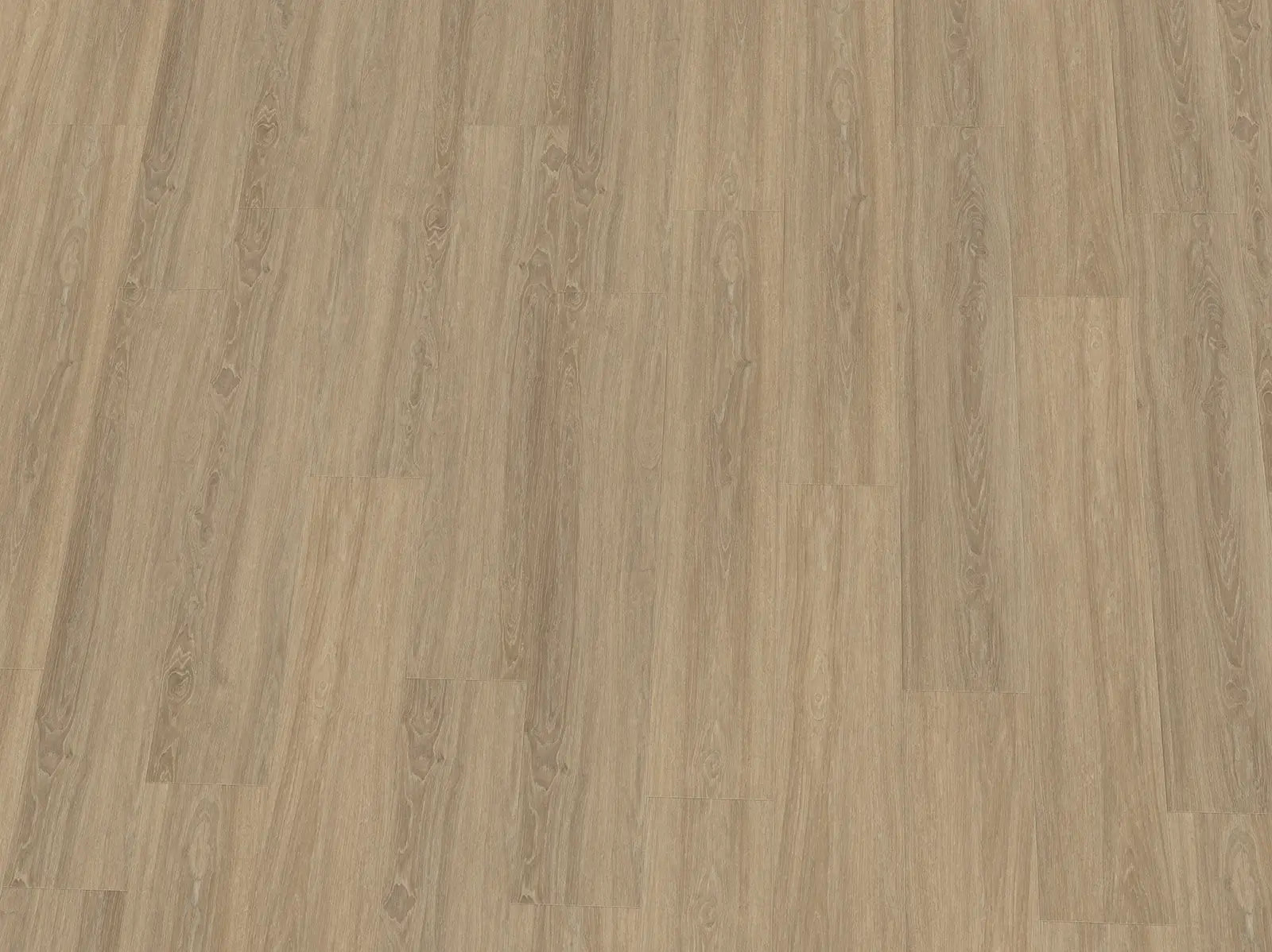Vinylboden IPC Granat Eiche Malaga Klebevinyl, braune Eichenoptik mit hellen Maserungen, langlebiges Bodenbelagsdesign