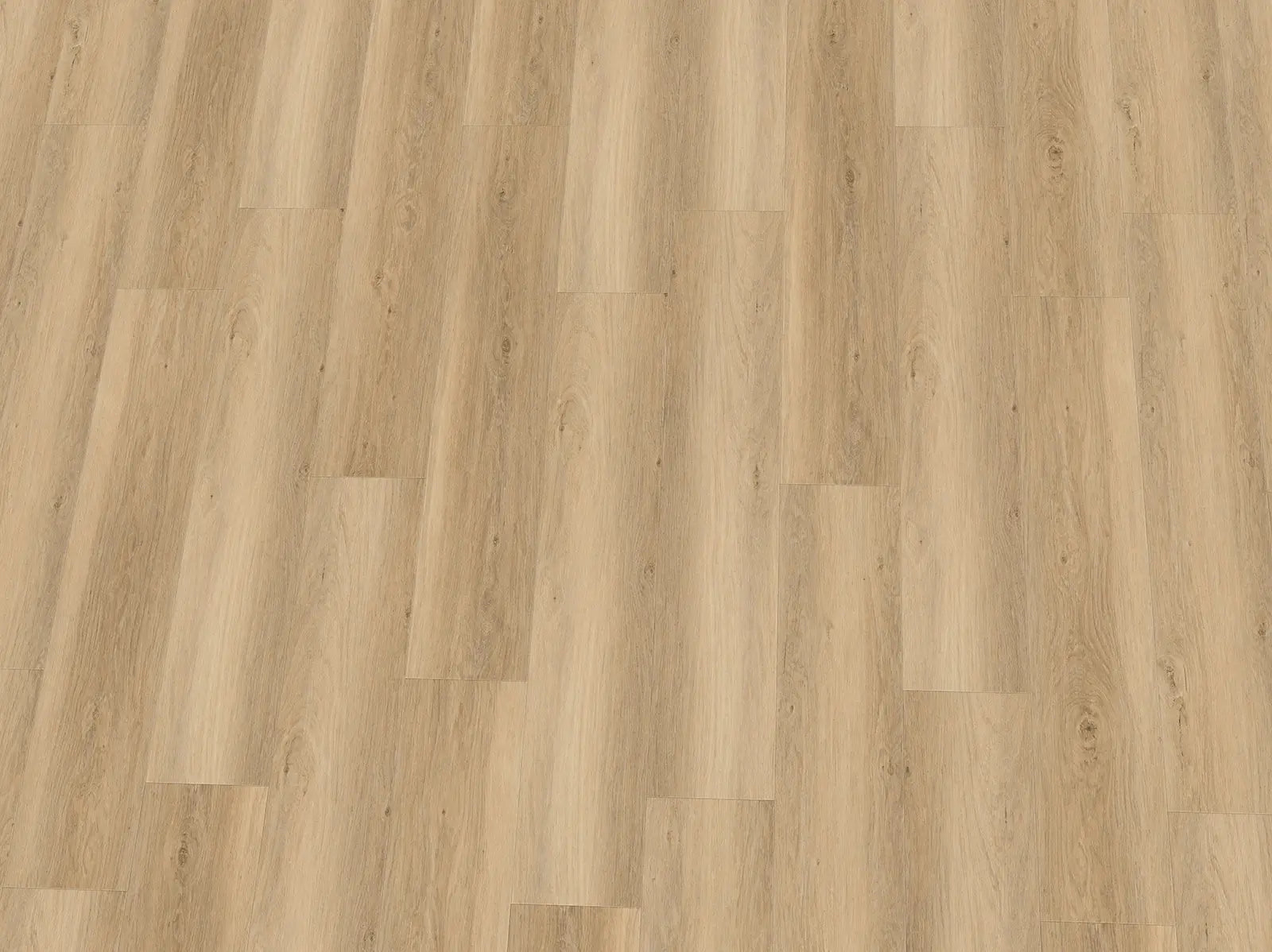 Vinylboden IPC Granat Eiche Capri in Eichenoptik, Klebevinyl mit natürlicher Holzmaserung und dunkler Holzfarbe.