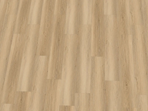Vinylboden IPC Granat Eiche Capri in Eichenoptik, Klebevinyl mit natürlicher Holzmaserung und dunkler Holzfarbe.