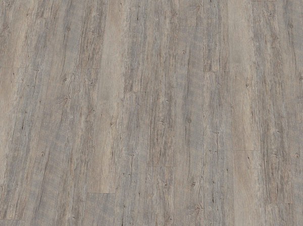 Vinylboden IPC Smaragd Eiche Altholz mineralgrau, Klebevinyl, detailreiche Holzmaserung und matte Oberfläche, eleganter Bodenbelag