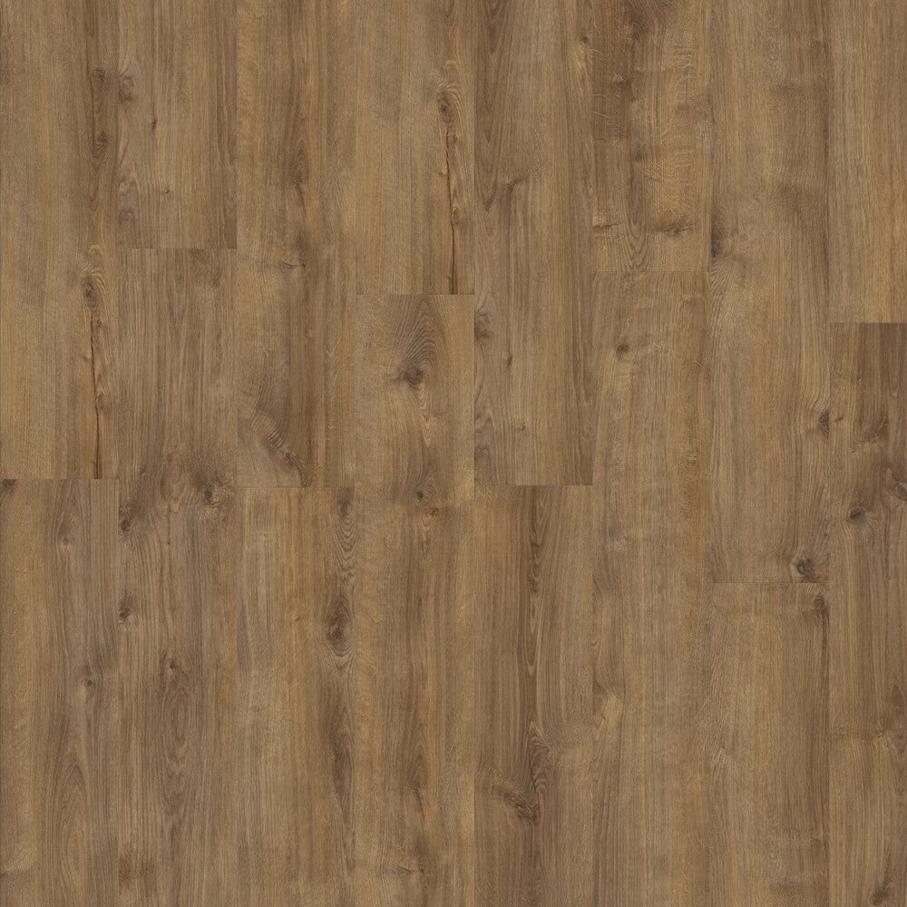 Vinylboden Moduleo Roots 55 Galway Oak mit hellbraunen Holzmaserungen, Klebevinyl-Design für langlebigen Bodenbelag