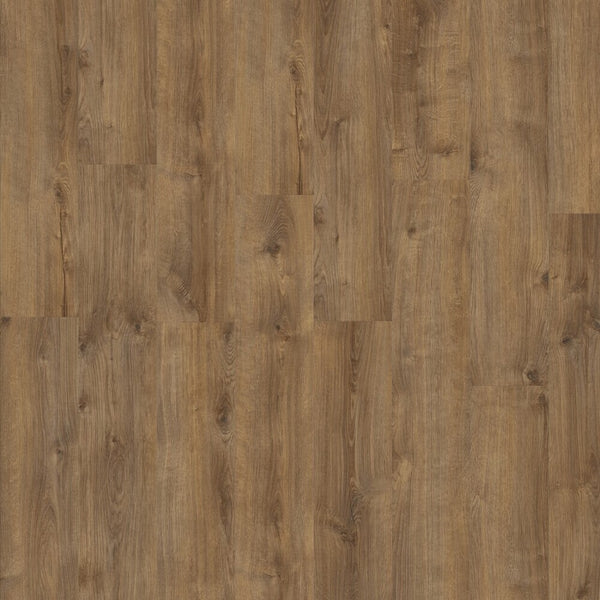 Vinylboden Moduleo Roots 55 Galway Oak mit hellbraunen Holzmaserungen, Klebevinyl-Design für langlebigen Bodenbelag