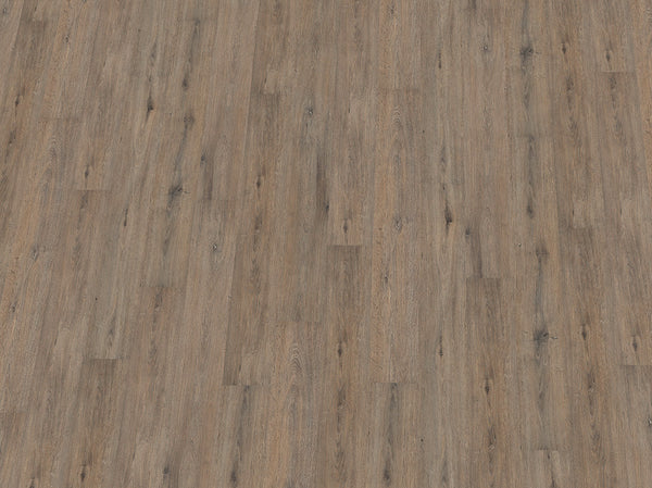 Vinylboden IPC Saphir Plus Eiche austergrau, Klebevinyl, Nahaufnahme des Holzdesigns und der Textur.