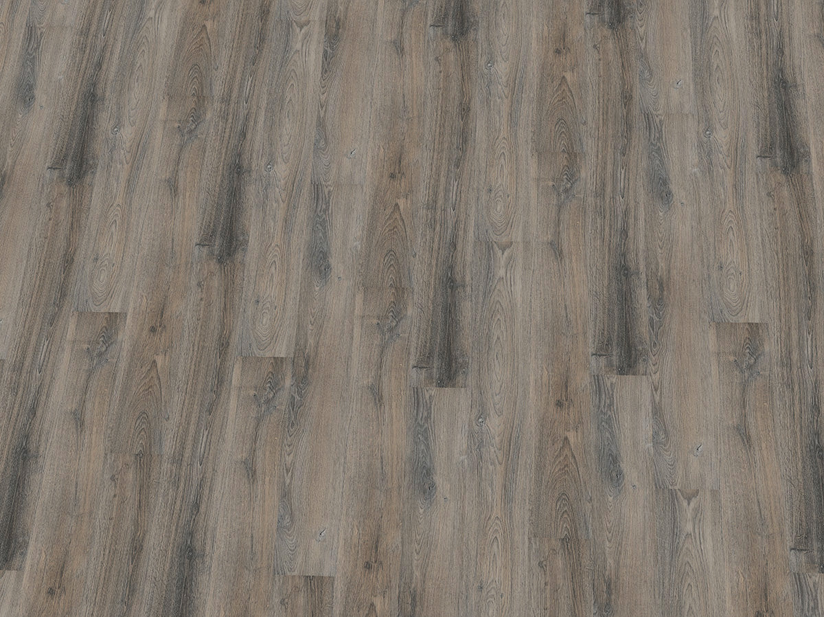 Vinylboden IPC Saphir Plus Eiche graubeige, Klebevinyl, detailreiche Holzoptik, strapazierfähig und langlebig, Nahaufnahme