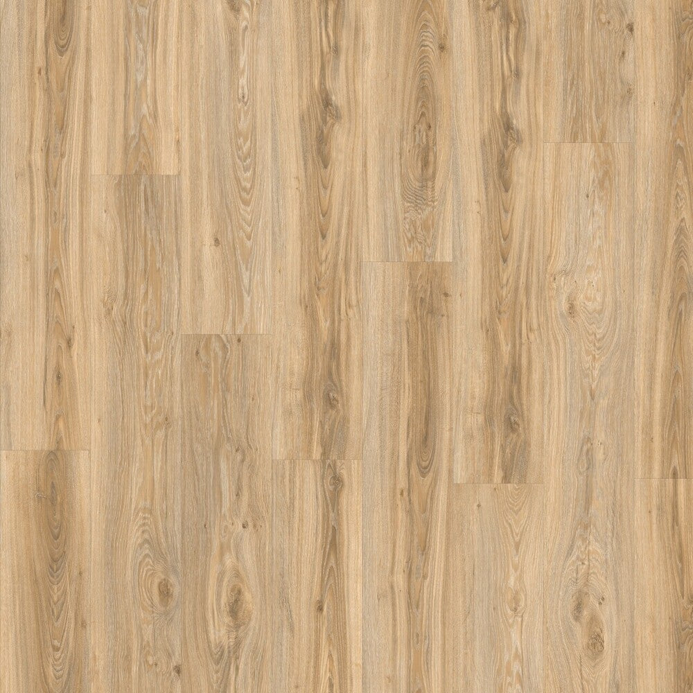 Moduléo Roots 55 Blackjack Oak Vinylboden, Klebevinyl mit Holzoptik, hellbraune Eichenstruktur, hochauflösendes Design