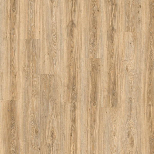 Moduléo Roots 55 Blackjack Oak Vinylboden, Klebevinyl mit Holzoptik, hellbraune Eichenstruktur, hochauflösendes Design