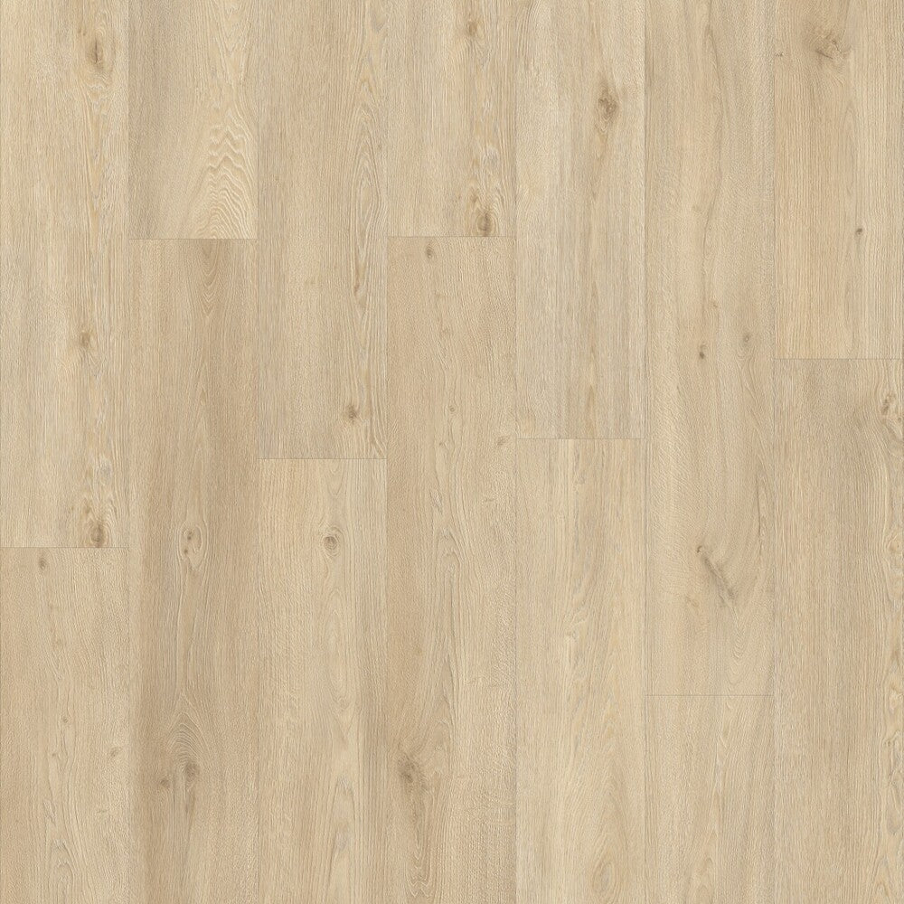 Moduleo Roots 55 Galtymore Oak Vinylboden aus Klebevinyl, hochwertige Dielen mit natürlicher Eichenoptik.