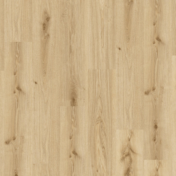 Tarkett iD Essence Rigid 30 Klick-Vinylboden in hellem Eichenholz, robustes Vinyl mit natürlicher Holzmaserung, Bodenbelag für Innenräume