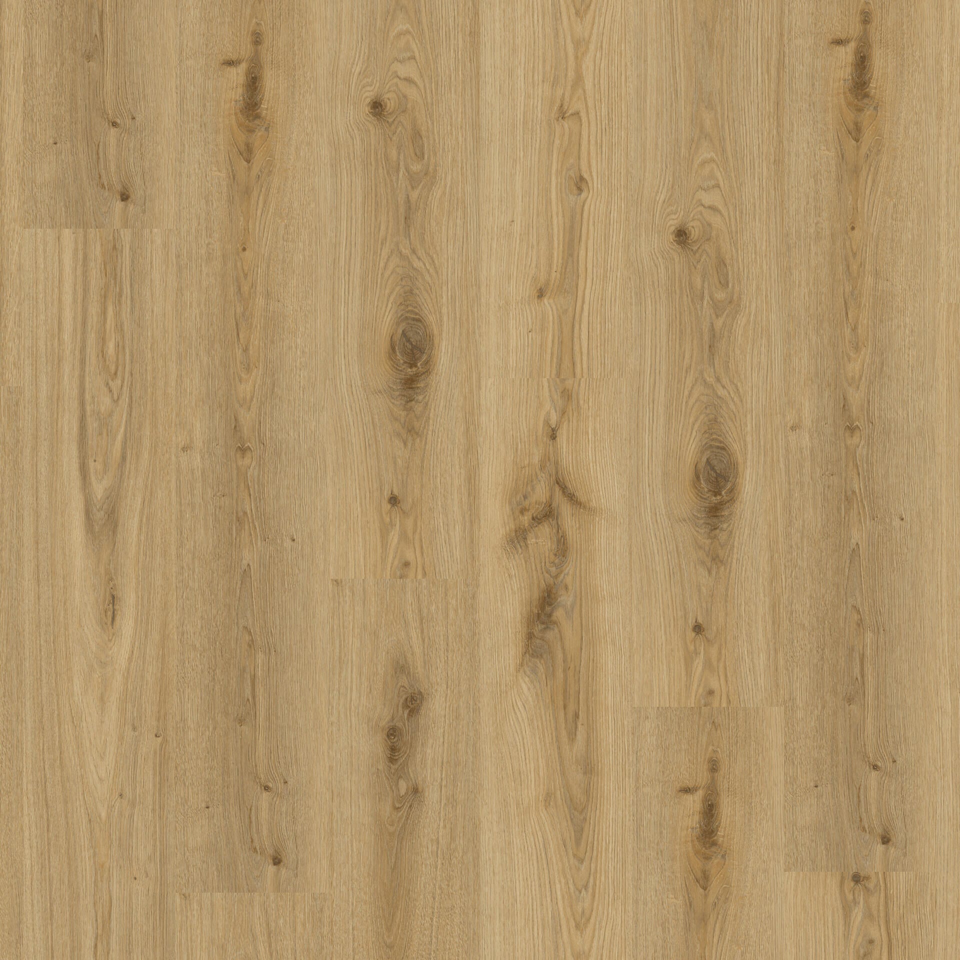 Vinylboden Tarkett iD Essence 55 Primary Oak Natural mit Holzmaserung und heller Eichenoptik, Klebevinyl für robuste Fußböden