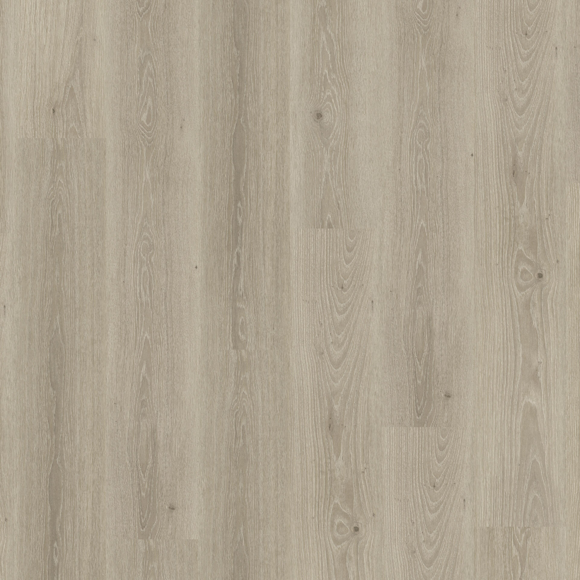 Vinylboden Tarkett iD Essence 55 Tribe Oak Grey mit Holzmaserung und grau-heller Holzoptik, klebevinyl für langlebigen Bodenbelag