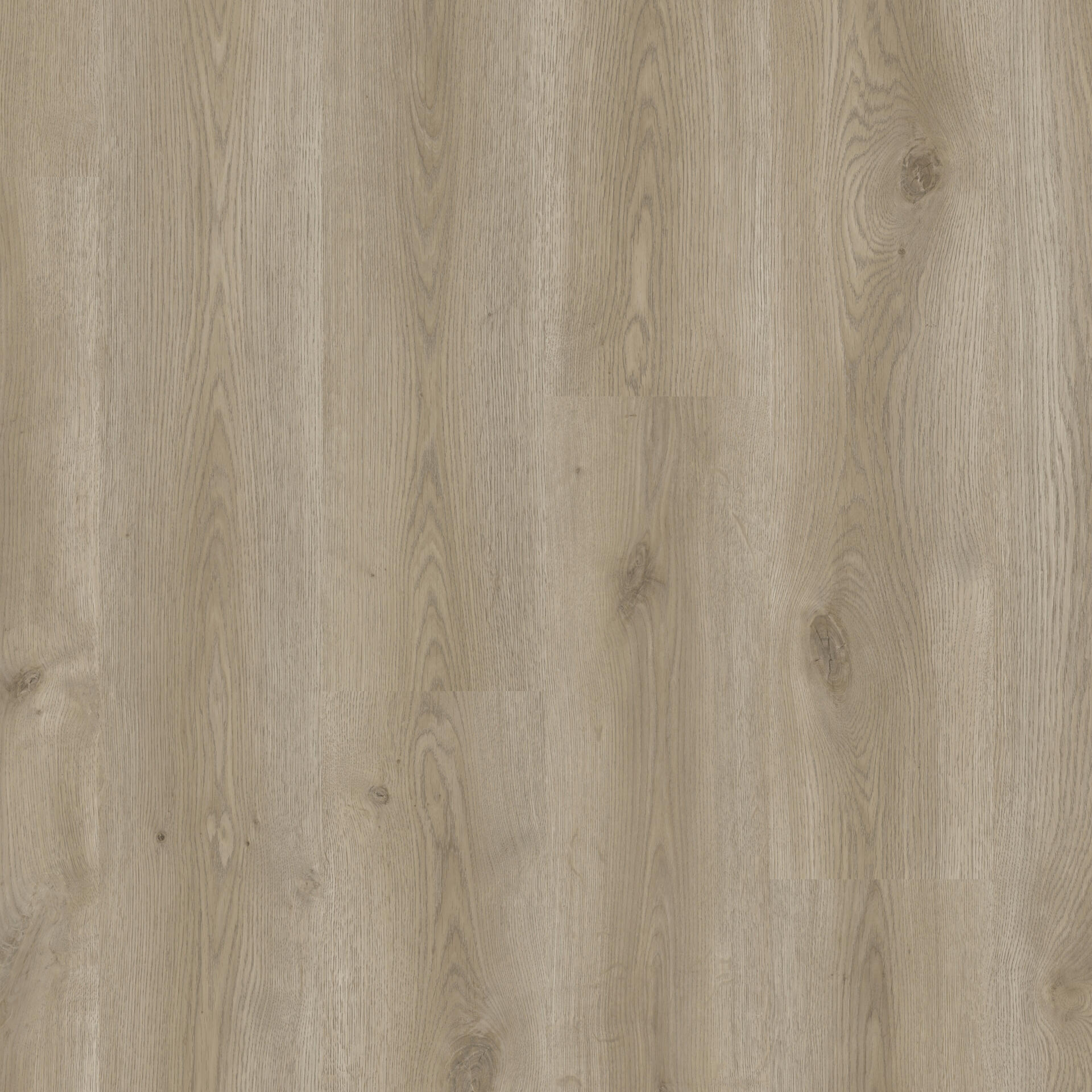 Tarkett iD Click Ultimate 55 Classics Contemporary Oak Grege Klick-Vinyl, Dekorbild in Holzoptik