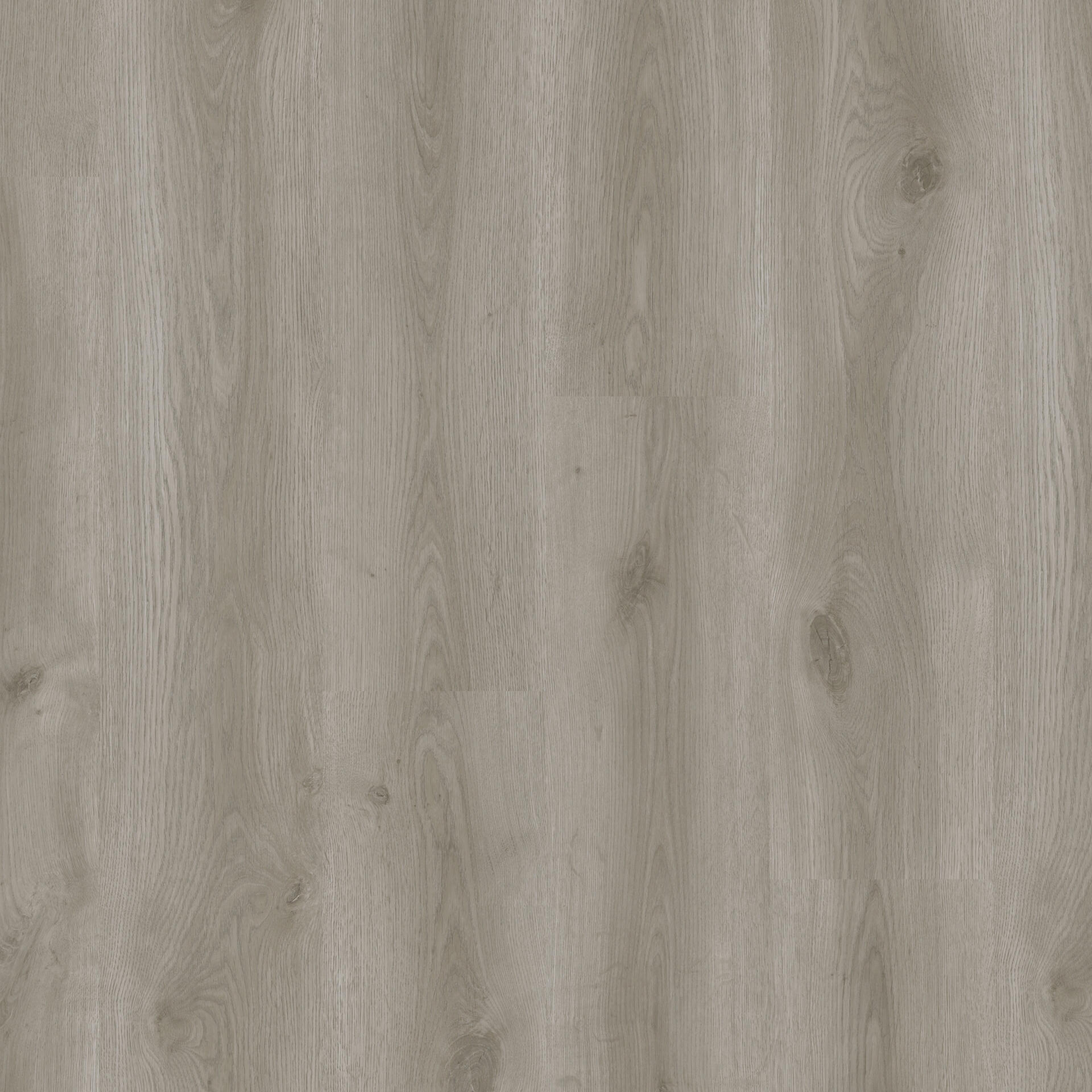 Tarkett iD Click Ultimate 55 Classics Contemporary Oak Grey Klick-Vinyl, Dekorbild in Holzoptik