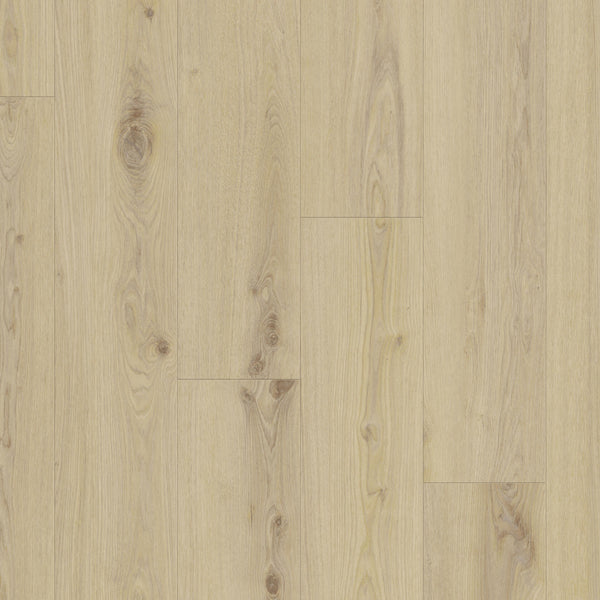 Tarkett iD Click Ultimate 30 Classics Delicate Oak Almond Klick-Vinyl, Dekorbild in Holzoptik