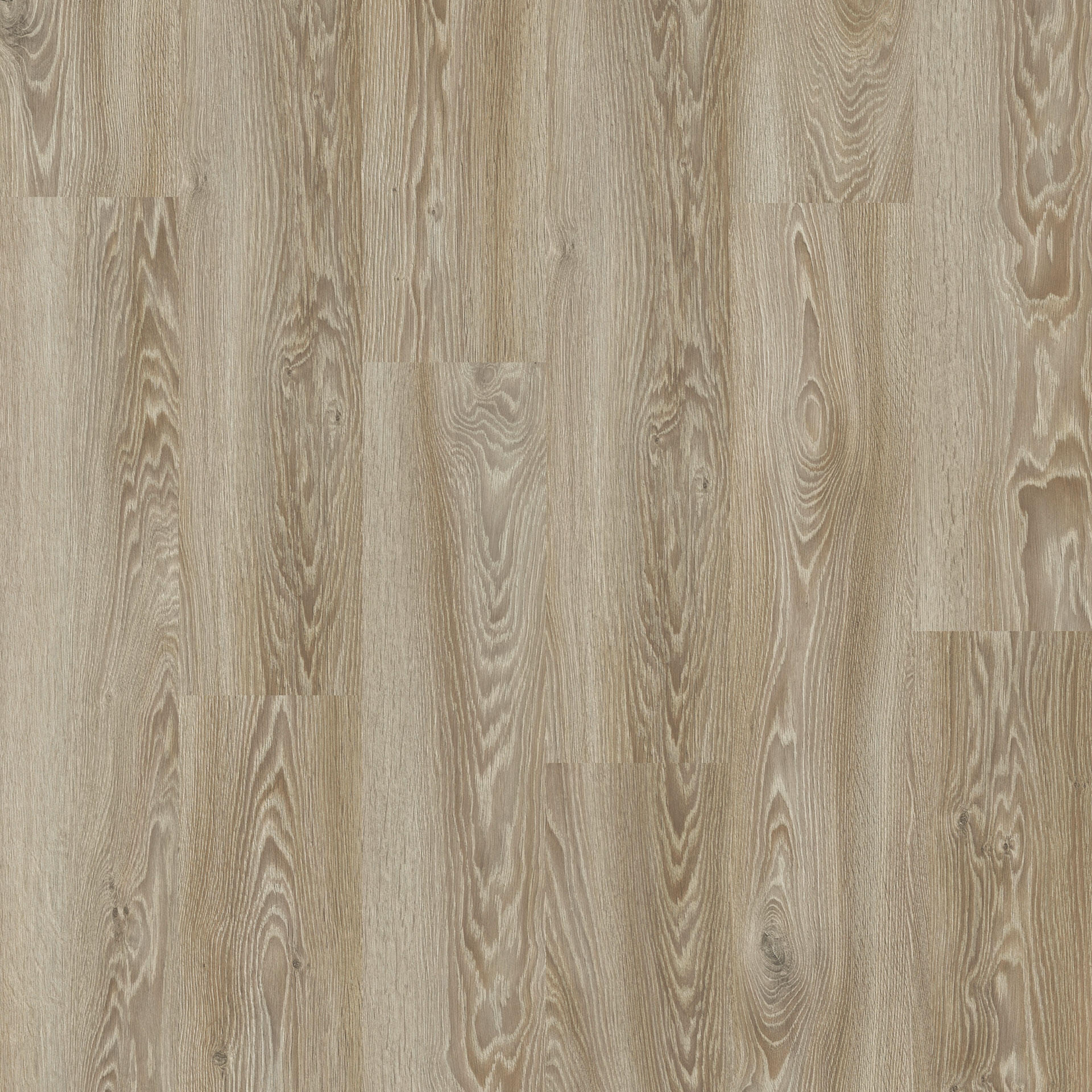 Tarkett iD Inspiration 40 Classics moderner Eichenboden in Weiß, Klebevinyl, detailreiche Holzstruktur, hochwertiges Vinylboden-Design