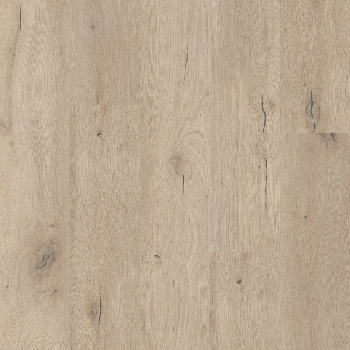 COREtec Stairs Dekor Forest, helle Eichenoptik