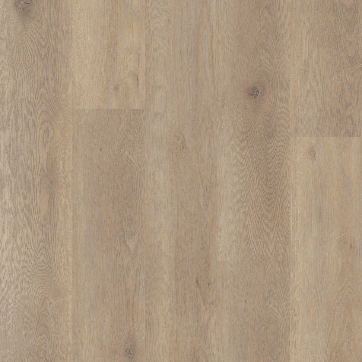 COREtec Stairs Dekor Meadow, helle Holzoptik