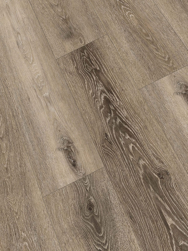 World of SPC San Diego Oak, Klickvinyl in Holzoptik