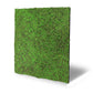 Jangal Wandpaneel im Modular-Wall-Design, grün mit antiken Baum-Motiven, Flora-Stil, 52x52 cm, natürliche Pflanzenoptik