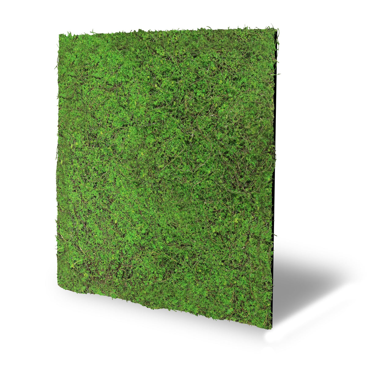 Jangal Wandpaneel im Modular-Wall-Design, grün mit antiken Baum-Motiven, Flora-Stil, 52x52 cm, natürliche Pflanzenoptik