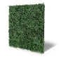 Jangal Wandpaneel aus dunklem Buxus, modulare Flora-Wandgestaltung, 52 x 52 cm, grüne Pflanzenwand für Innenräume