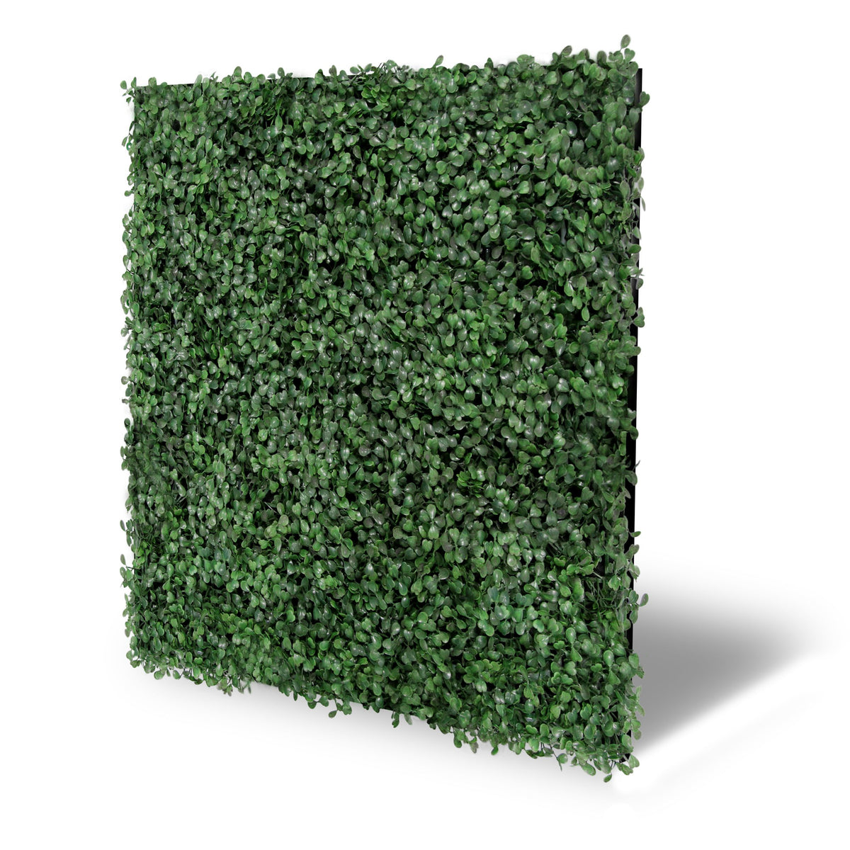 Jangal Wandpaneel aus dunklem Buxus, modulare Flora-Wandgestaltung, 52 x 52 cm, grüne Pflanzenwand für Innenräume