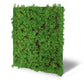 Jangal Wandpaneel Thuja Tea Tree, Flora-Modul, 52x52 cm, grüne Pflanzenstruktur mit Blättern auf dekorativer Wandverkleidung