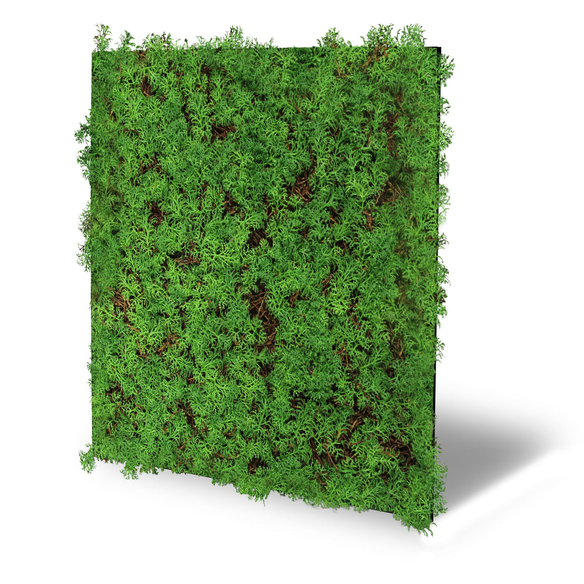 Jangal Wandpaneel Thuja Tea Tree, Flora-Modul, 52x52 cm, grüne Pflanzenstruktur mit Blättern auf dekorativer Wandverkleidung