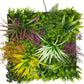 Jangal Wandpaneel mit gemischter Flora, modulares Wandbild für botanische Wandgestaltung, 52 x 52 cm, grüne Pflanzen.