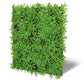Jangal Wandpaneel mit modularem Podocarpus-Tea-Tree-Motiv, 52 x 52 cm, grüne Pflanzenoptik für moderne Inneneinrichtung