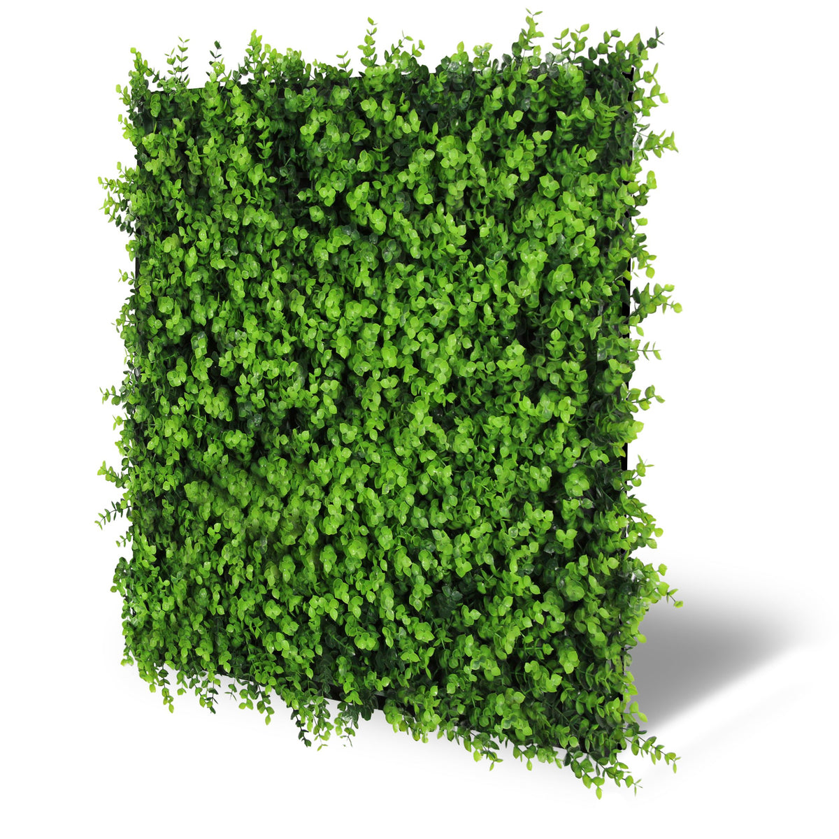 Jangal Wandpaneel aus gemischtem grünen Buxus, Flora-Wandpaneel, 52 x 52 cm, mit grünen Pflanzen und Textur.