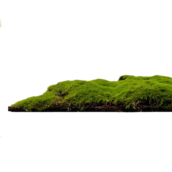 Jangal Moos-Wandpaneel, modularer Wanddekor in Naturgrün, 52 x 52 cm, mit grünen Moos-Designs für natürliche Wandgestaltung