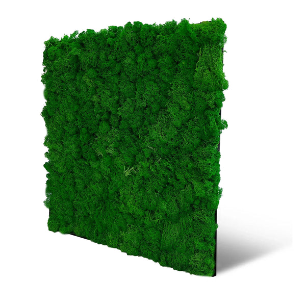 Jangal Wandpaneel aus Echtmoos, modular in Grün, 52 x 52 cm, mit natürlicher Moosoberfläche und grüner Wandgestaltung