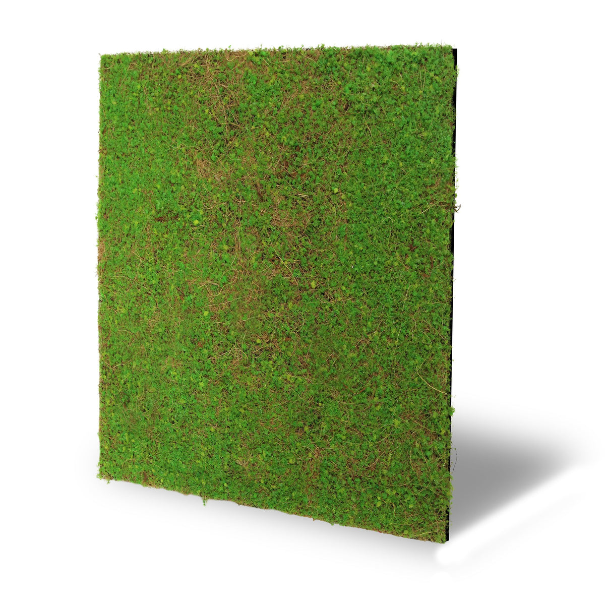 Jangal modular Wandpaneel in Grün mit Kokosnuss-Design, Flora-Wandpaneel, 52x52 cm, dekoratives Wandlicht für moderne Räume