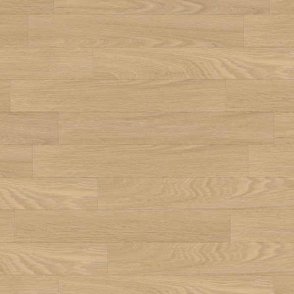 Gerflor Creation 30 Tamo Clear 1567 Vinylboden, Klebevinyl mit transparentem Design, strapazierfähig und langlebig, ideal für Innenräume