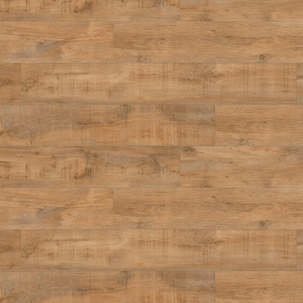 Gerflor Creation 55 Savage Oak Honey Vinylboden, Klebevinyl mit Eichenmuster in honigfarben, strapazierfähig und dekorativ