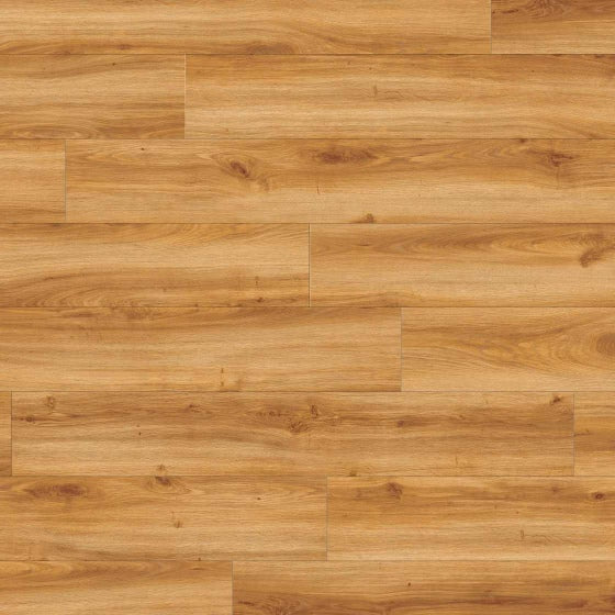 Vinylboden Moduleo Roots 40 Classic Oak mit Holzmaserung, Klebevinyl, langlebiges Design für stilvolle Räume