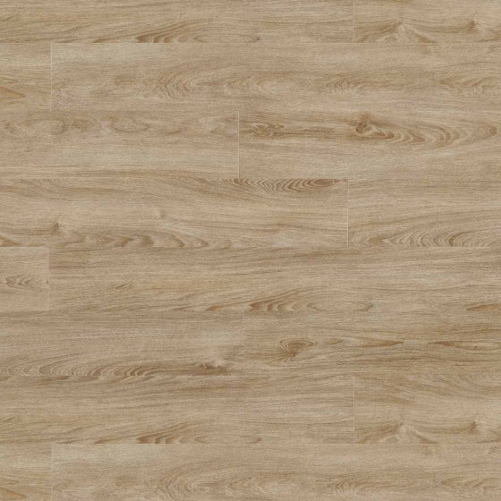 Moduléo Roots 40 Midland Eiche Vinylboden, Klebevinyl, naturbelassene Holzoptik, langlebiges Bodenbelag, detailreiche Holzmaserung