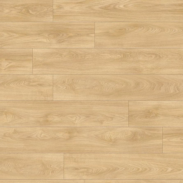 Vinylboden Moduleo Roots 55 Laurel Oak 51332 XL mit Holzmaserung und warmer Eichenoptik, Klebevinyl für langlebigen Bodenbelag