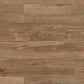 Vinylboden Project Floors ECO 3610 aus der ECO Plus Collection, bio- und PVC-freier Klebevinyl, mit Holzoptik in natürlichem Design