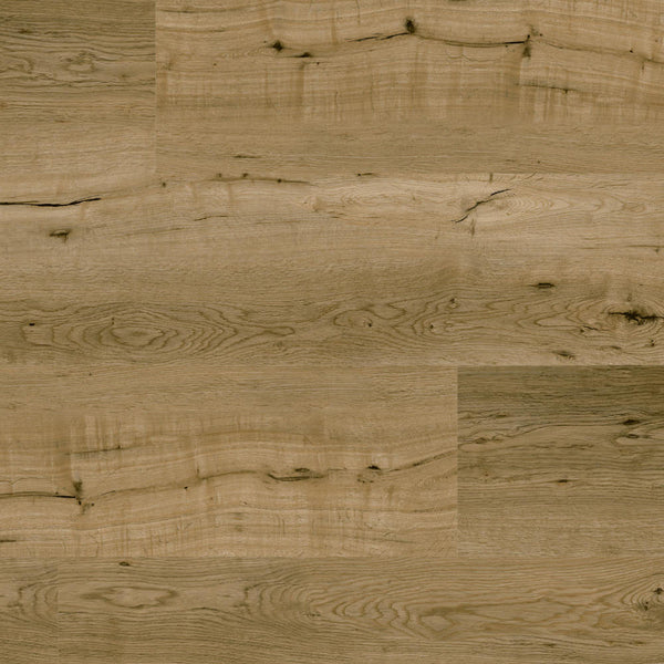 Vinylboden Project Floors floors@home PW 1381 aus Eichen-Design, Klebevinyl, breite Planken für modernen Wohnstil