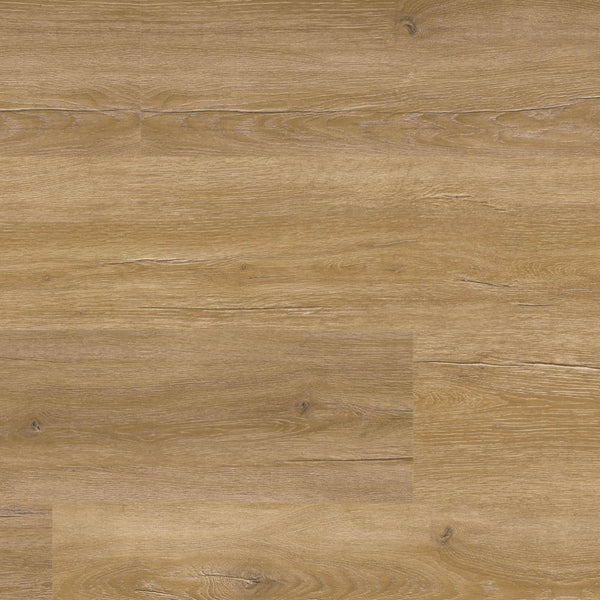 Vinylboden Project Floors floors@home PW 3914 in Eichen-Design, Klebevinyl, detailreiche Holzmaserung auf hellem Boden