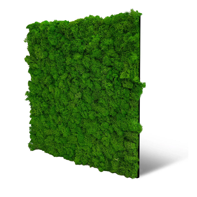 Jangal Wandpaneel Rich Green aus echtem Moos, 52 x 52 cm, akustisches Wandpaneel für natürliche Raumakustik.