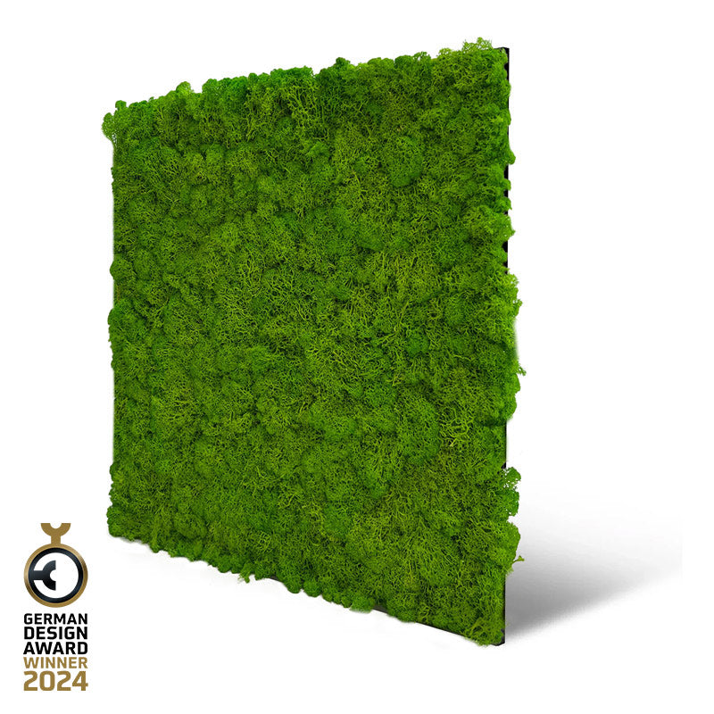 Jangal Wandpaneel Bright Green aus Echtmoos, 52x52 cm, akustisches Wandpaneel für natürliche Raumgestaltung