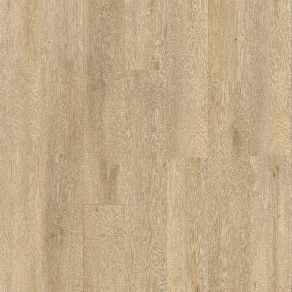 Moduleo Roots 55 Galtymore Eichen-Vinylboden, Klebevinyl, detailreiche Holzstruktur in natürlichem Design