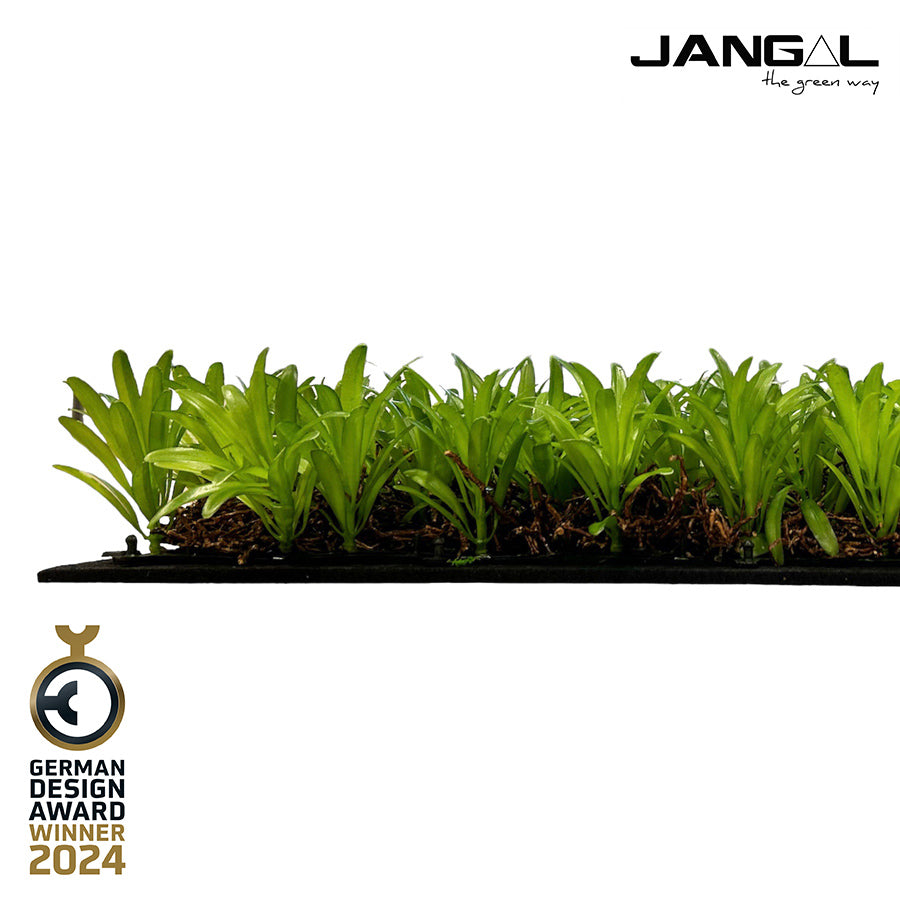 Jangal Wandpaneel mit Podocarpus und Teebaum, Flora-Design, 52 x 52 cm, grüne Pflanzen für Wanddekoration